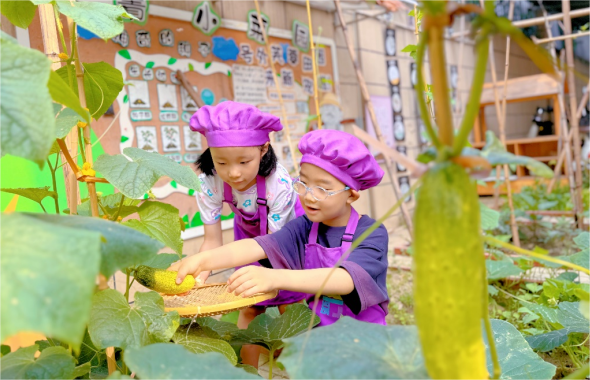 好耍，幼儿园里有条“芙蓉巷”